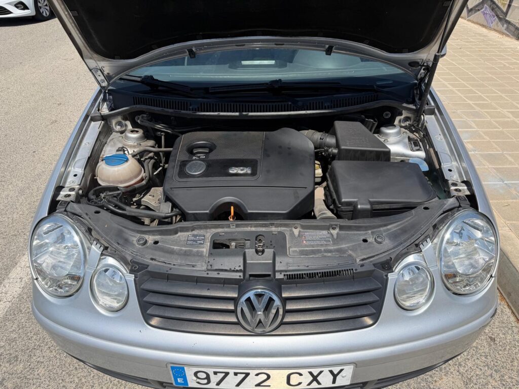 Volkswagen Polo 1.9 TDI Diésel Familiar 100 CV