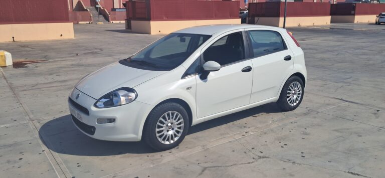 Fiat Punto 1.3 Multijet Diésel Hatchback 75 CV
