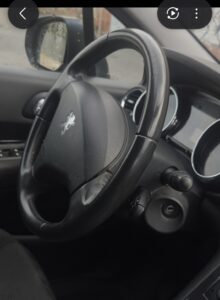 Peugeot 3008 1.6 HDi Diésel SUV 110 CV
